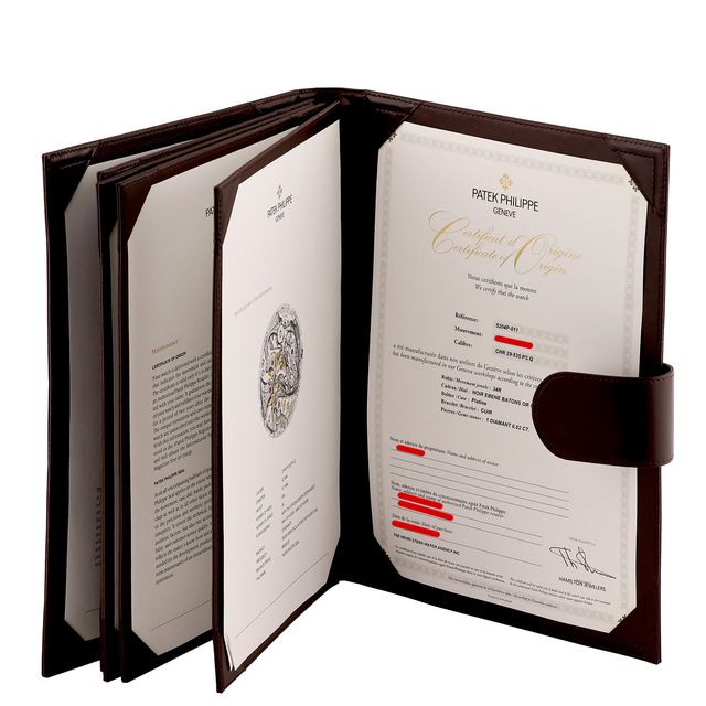 Patek Philippe Grand Complications 5204P-011 Image 6